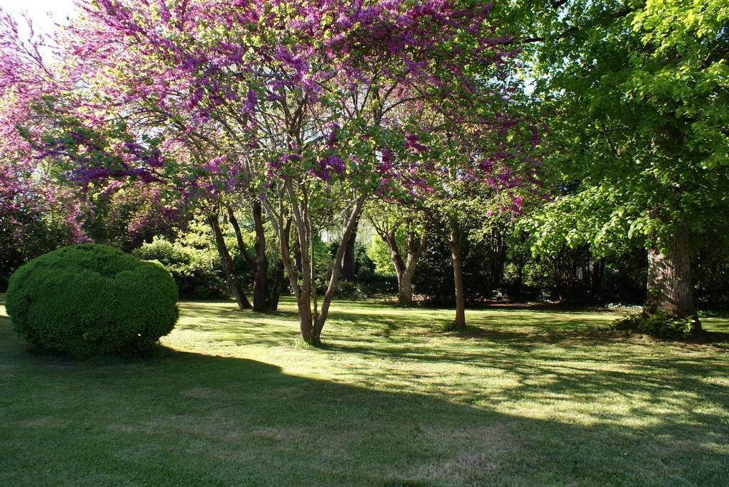 לינה וארוחת בוקר Saint-Léger Chateau De Grenier מראה חיצוני תמונה